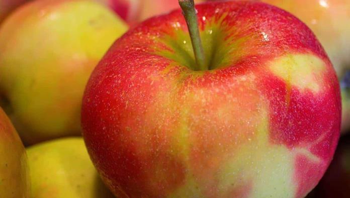 Esto son los alimentos que se venderán en las escuelas de México