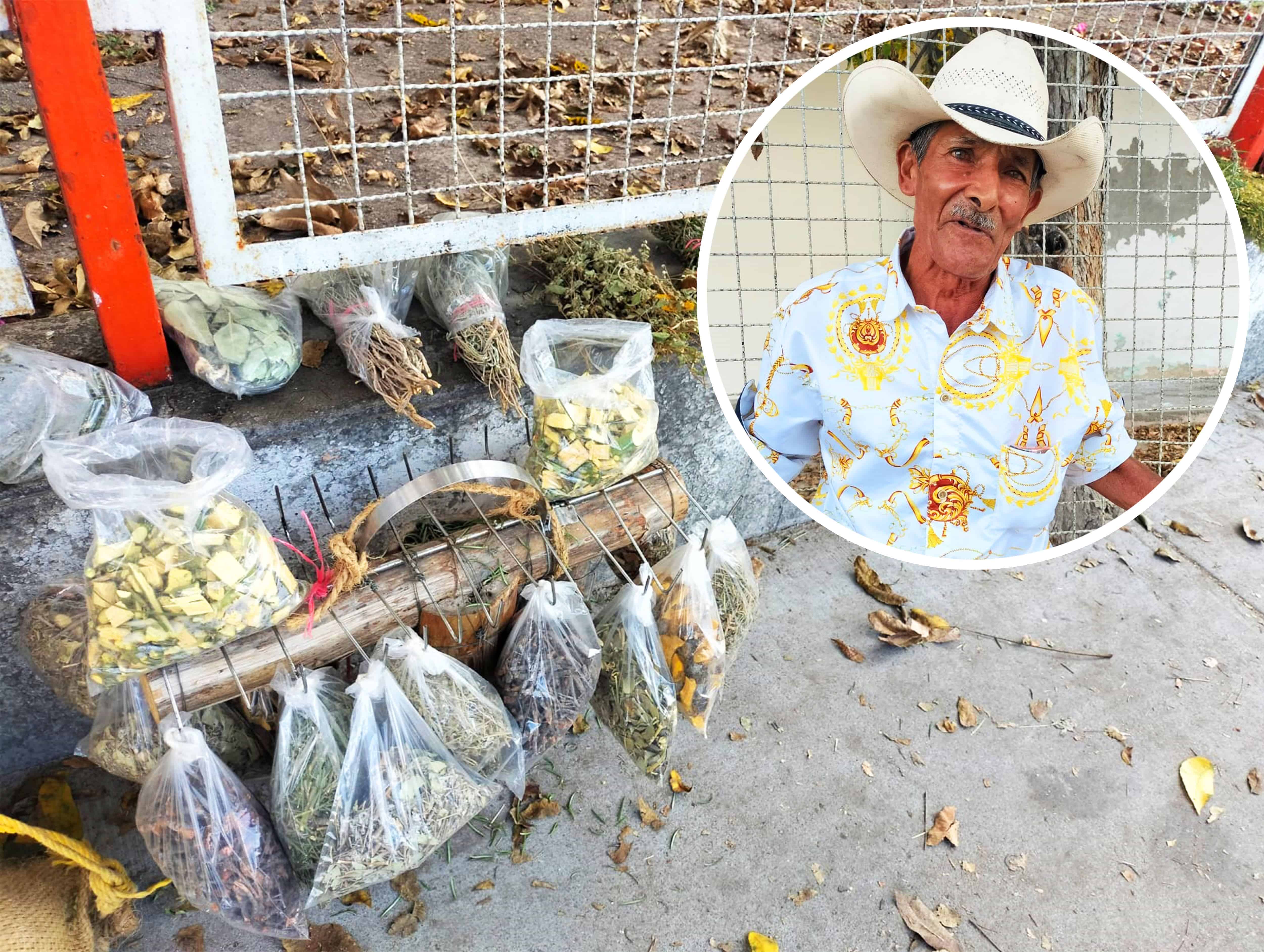 Guadalupe Yañez Noreno: La Sabiduría de la Medicina Natural en la Frontera