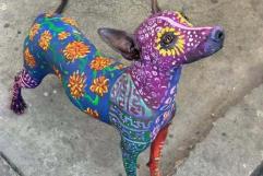 Pintan a perrita xoloitzcuintle previo a Día de Muertos