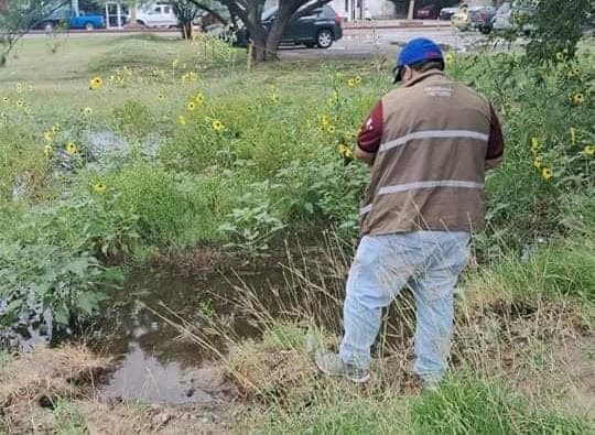 Continúa la lucha contra el dengue en Piedras Negras; Hay Nuevos Casos