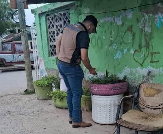 Continúa la lucha contra el dengue en Piedras Negras; Hay Nuevos Casos