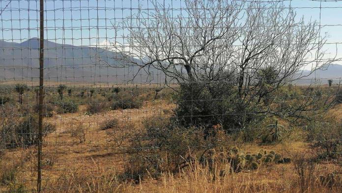 Detienen a presunto homicida de cazador