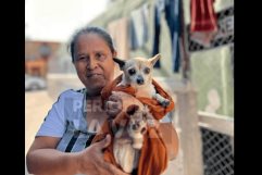 La conmovedora historia de lancho y su mascota “Chispa”