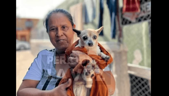 La conmovedora historia de lancho y su mascota "Chispa"