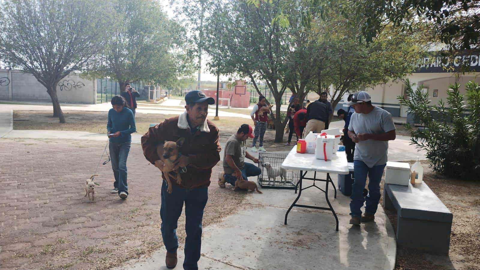 Brigada de Salud Animal Beneficia a Mascotas de Ciudad Acuña