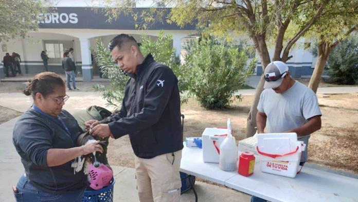 Brigada de Salud Animal Beneficia a Mascotas de Ciudad Acuña