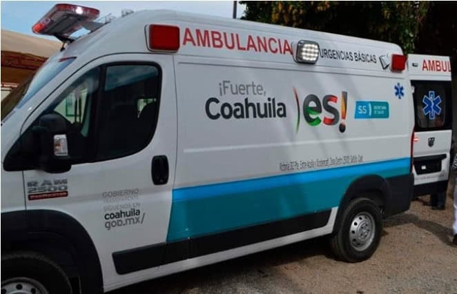 Muere oso negro atropellado en carretera 57 en Arteaga
