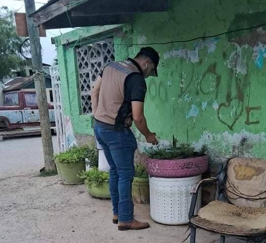 Se han reportado 214 CASOS DE DENGUE en Piedras Negras