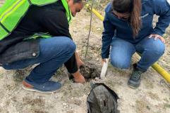 Parkohio Realiza Reforestación en Ciudad Acuña: 20 Nuevos Árboles de Encino Plantados