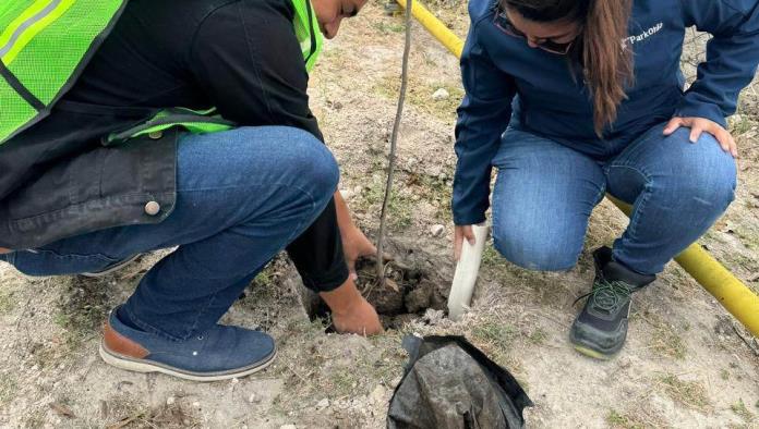 Parkohio Realiza Reforestación en Ciudad Acuña: 20 Nuevos Árboles de Encino Plantados