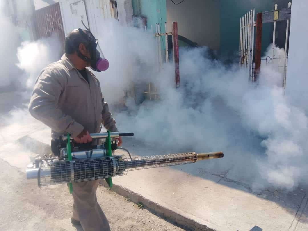 Hay 270 casos de dengue en la región Centro. 
