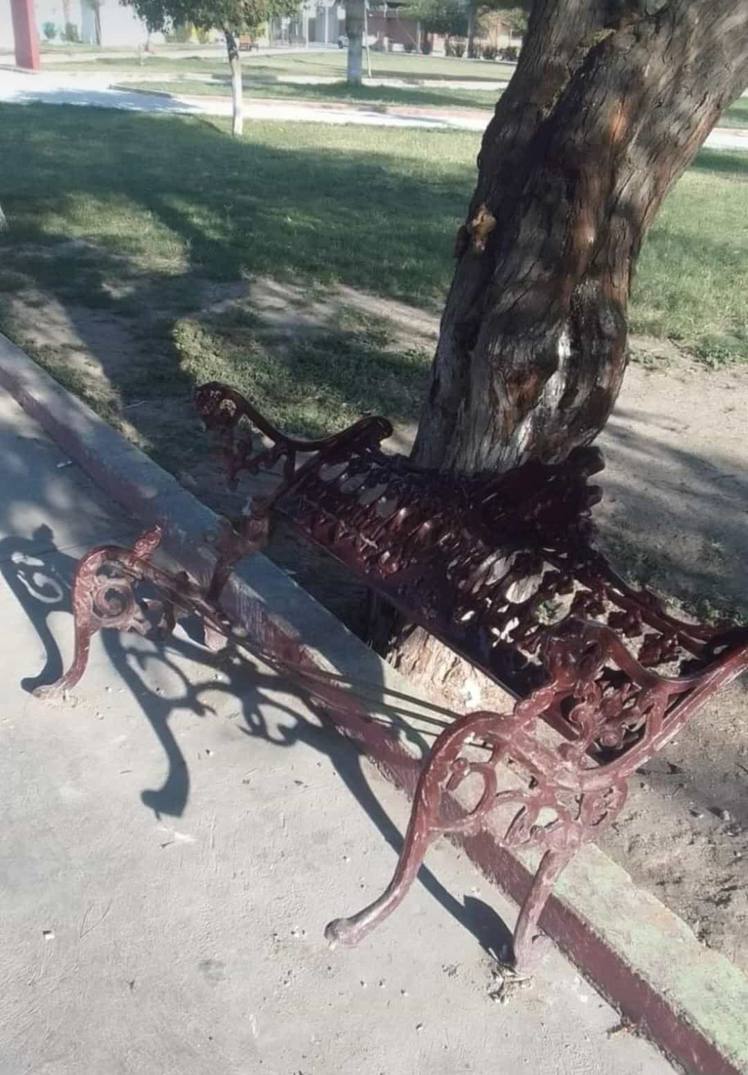 Dañan plazas en Frontera.