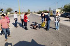 Accidente en carretera Morelos-Allende deja un herido