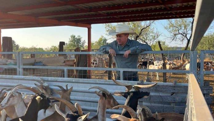 Vacunan y desparasitan ganado en Sombrerete