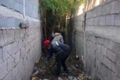 ´Inumunes´ al dengue empleados municipales