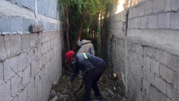 ´Inumunes´ al dengue empleados municipales