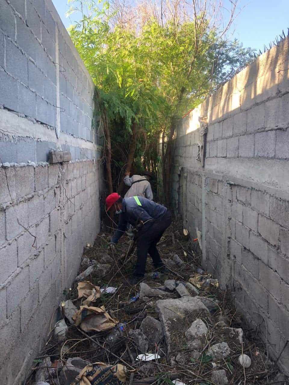Inmunes al dengue trabajadores de boteo, contenedores y limpieza.