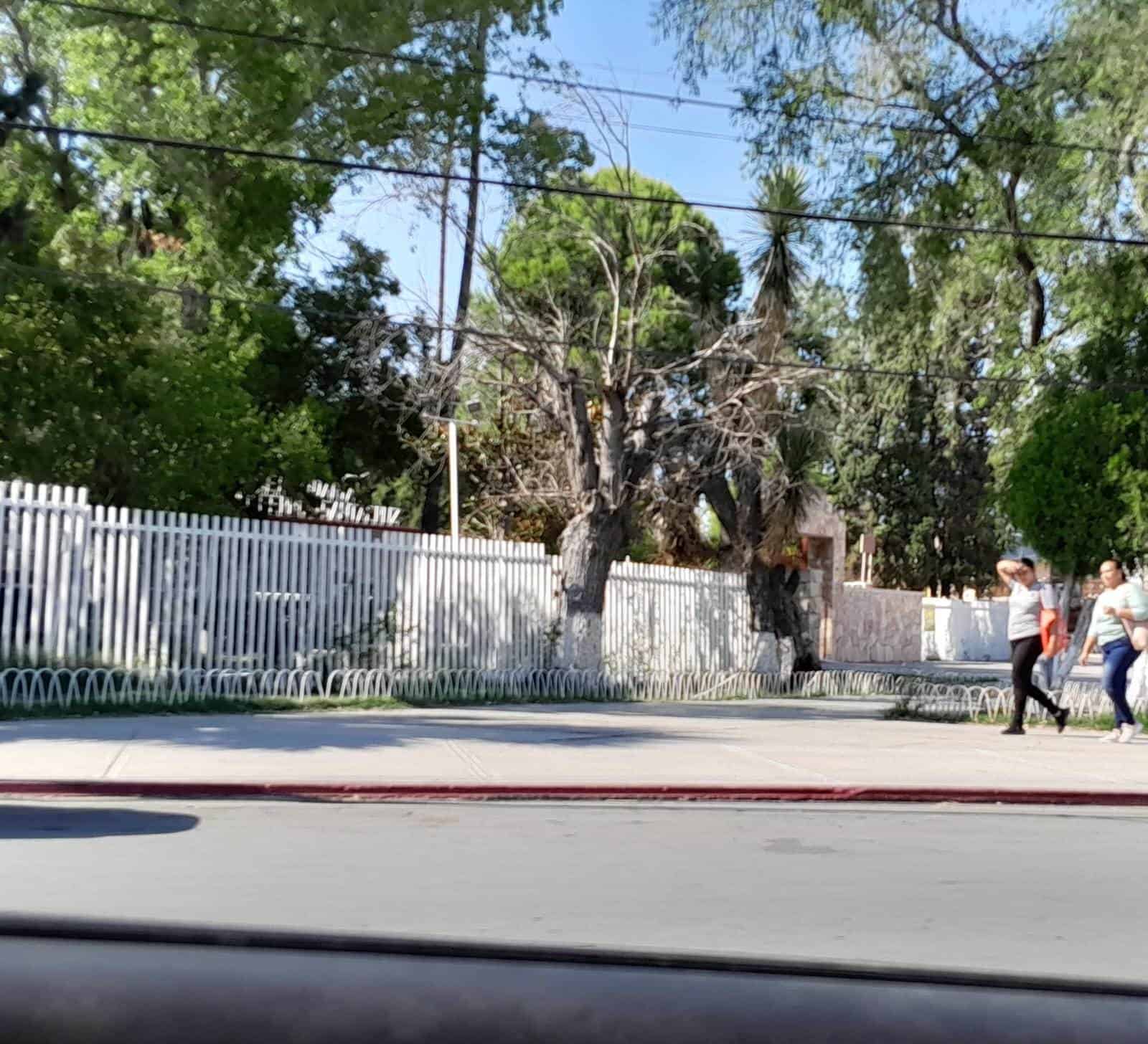 Refuerzan la Seguridad en Escuelas ante Aumento de Violencia Educativa