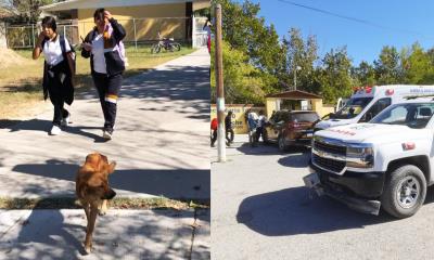 PC Refuerza Seguridad en Secundaria Tras Incidente con Perro