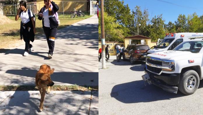 PC Refuerza Seguridad en Secundaria Tras Incidente con Perro