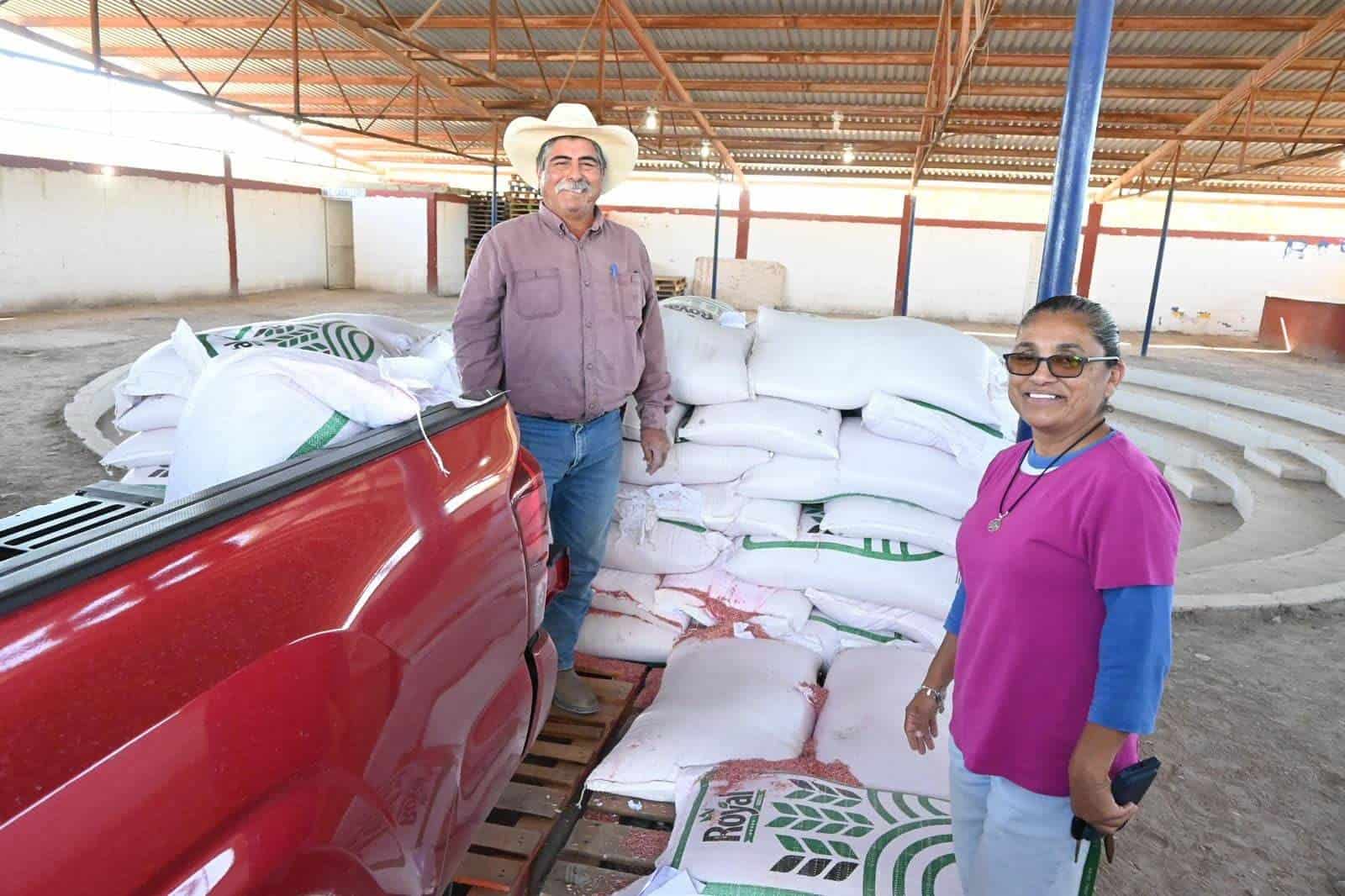 Realizan Entrega de Semilla Subsidiada a Productores de Nava