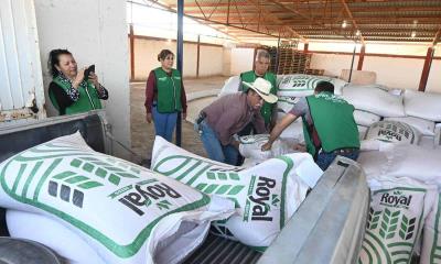 Realizan Entrega de Semilla Subsidiada a Productores de Nava