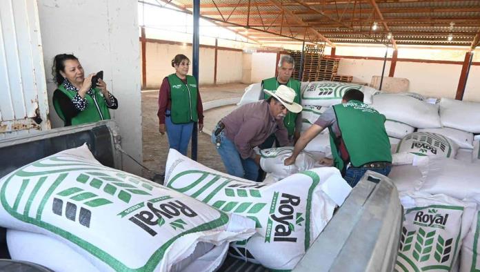 Realizan Entrega de Semilla Subsidiada a Productores de Nava