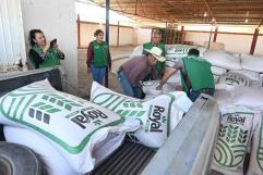 Entregan semilla de avena a productores locales