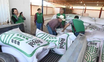 Entregan semilla de avena a productores locales