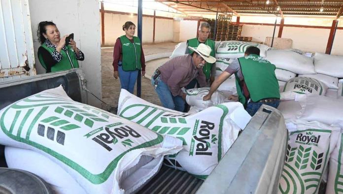 Entregan semilla de avena a productores locales