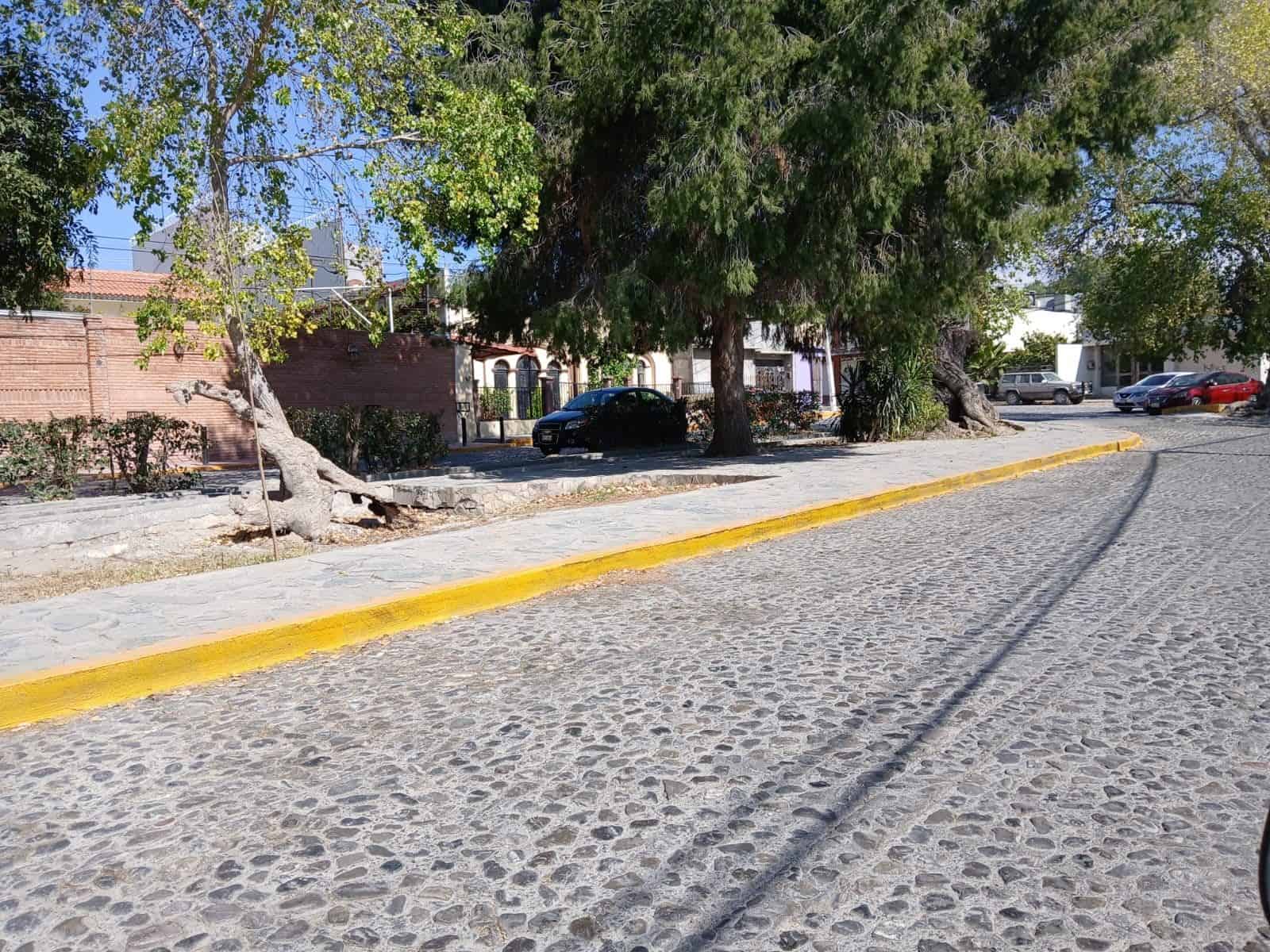 Las calles de Arteaga lucen más limpias