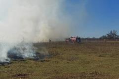 Controlan Incendio de Pastizal en la Carretera 57