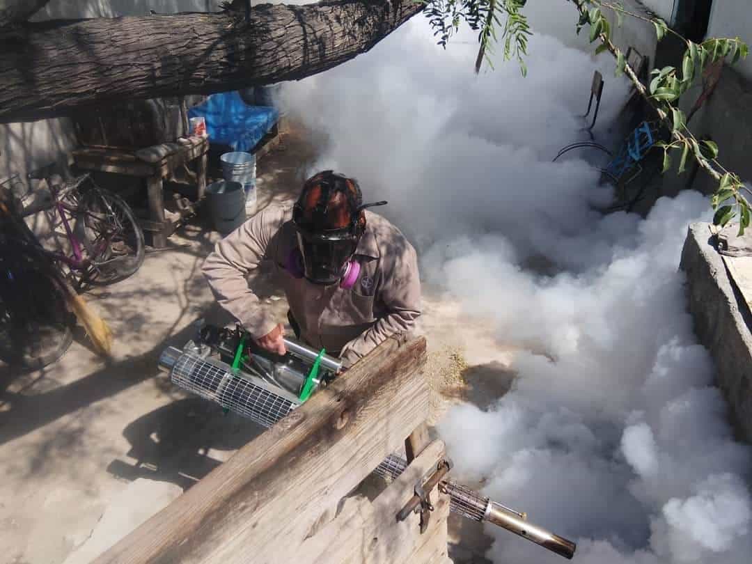 Confirman solo una muerte por dengue.