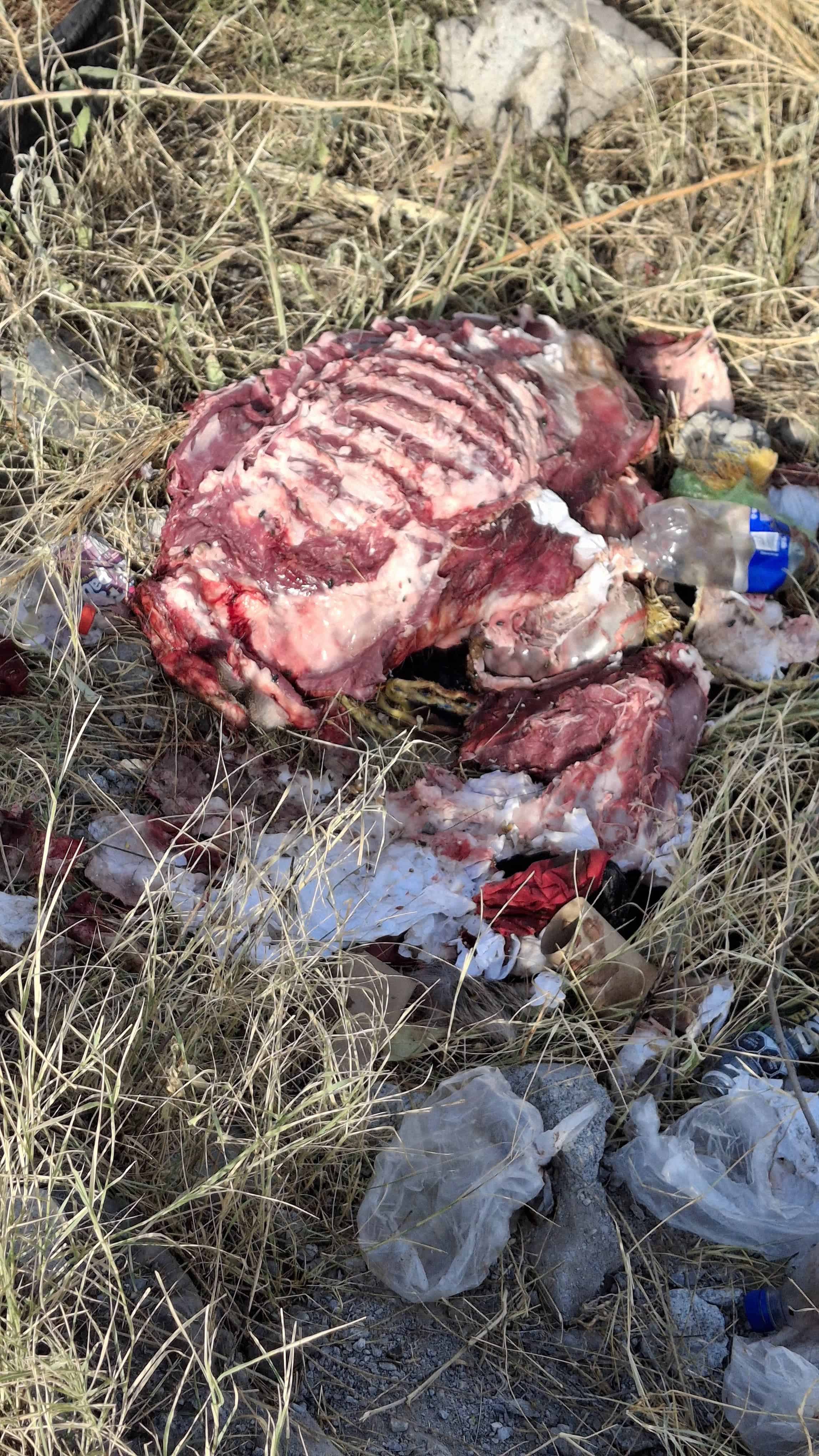 Los pedazos de animales muertos son arrojados a contenedores y predios baldíos.