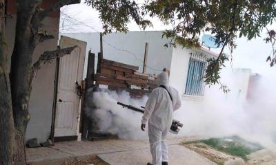 Equipos de vectores intensifican labores en colonias contra el dengue