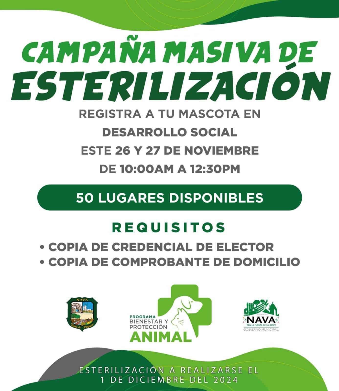 Anuncian campaña masiva de esterilización en Nava