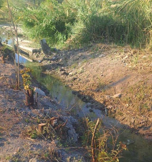 Incendio controlado en carrizales de Zaragoza