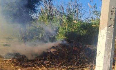 Incendio controlado en carrizales de Zaragoza