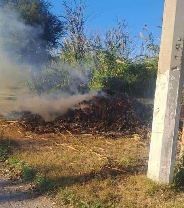 Incendio controlado en carrizales de Zaragoza