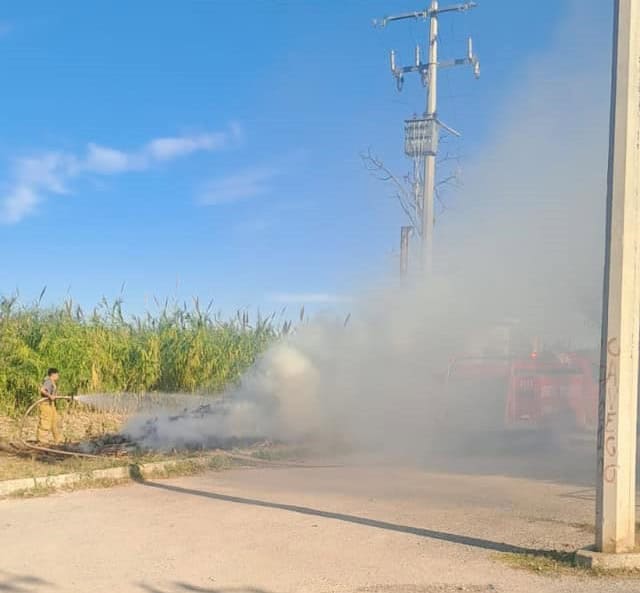 Incendio controlado en carrizales de Zaragoza