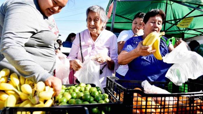 Llevarán mercadito a ´la Bellavista´ Llevarán mercadito a ´la Bellavista´