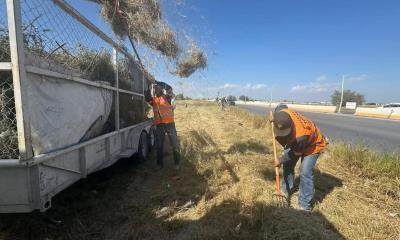 ´Golpea´ dengue a Servicios Primarios