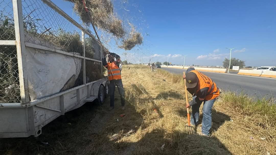 Empleados de Servicios Primarios han padecido dengue. 