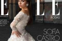 ¿Cuánto costó el vestido de novia de Sofía Castro?