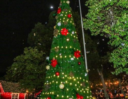 Comienza la magia de la navidad en Arteaga