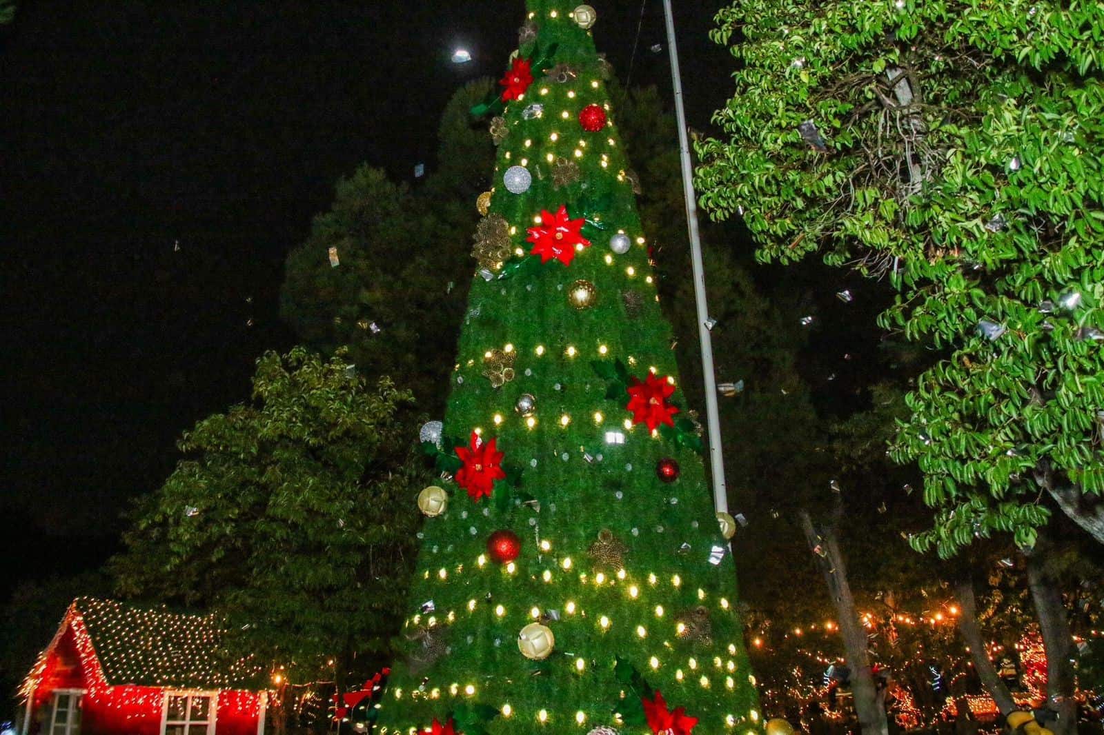 Comienza la magia de la navidad en Arteaga