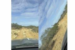 Sorprendente avistamiento de jirafas durante patrullaje en Coahuila