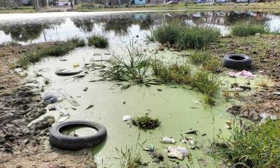 Exigen Soluciones a Autoridades por Foco de Infección en Colonia Lázaro Cárdenas