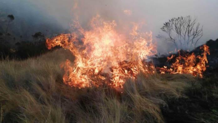 Será el 2025 año de alertas debido a incendios forestales