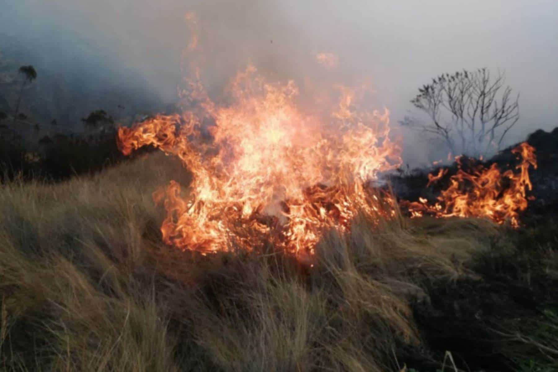 Será el 2025 año de alertas debido a incendios forestales